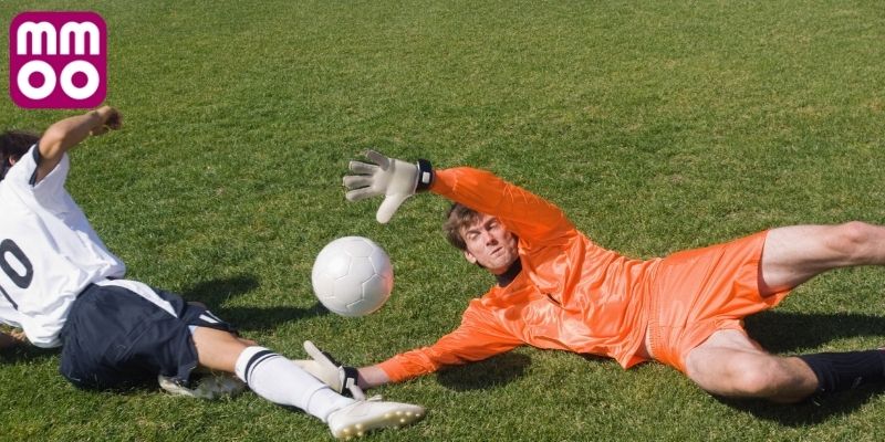 Giới thiệu tổng quát về kèo Bồ Đào Nha hôm nay