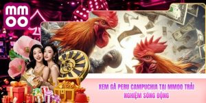 Xem Gà Peru Campuchia Tại MMOO Trải Nghiệm Sống Động